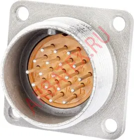 2РМТ24Б19Ш1В1БВ Разъемы 2РМ, 2РМТ, 2РМГ, 2РМДТ, ОНЦ-РГ фото фото 4